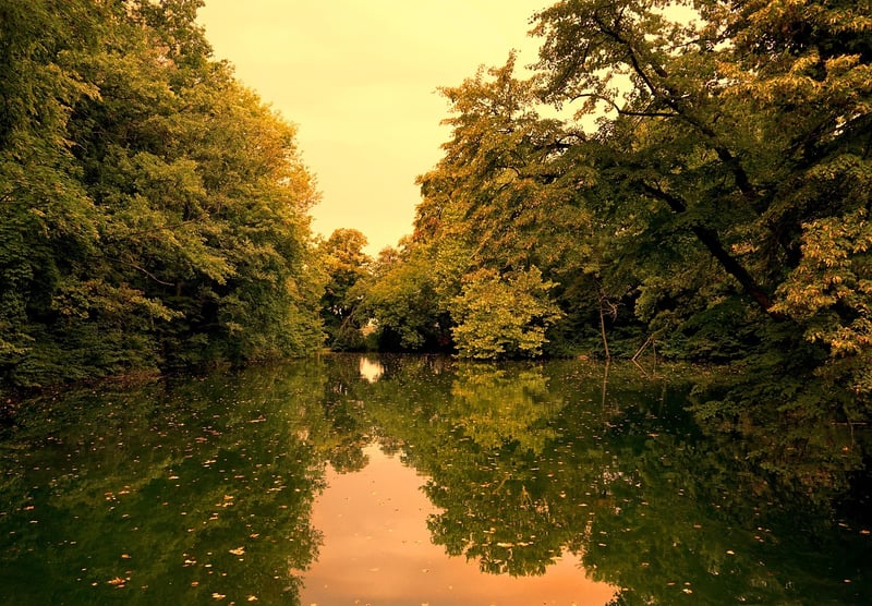 Mystical Ponds
