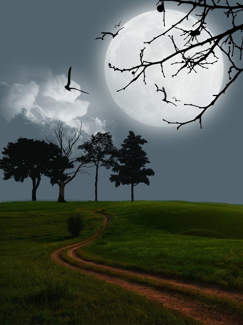 Twilight Meadow